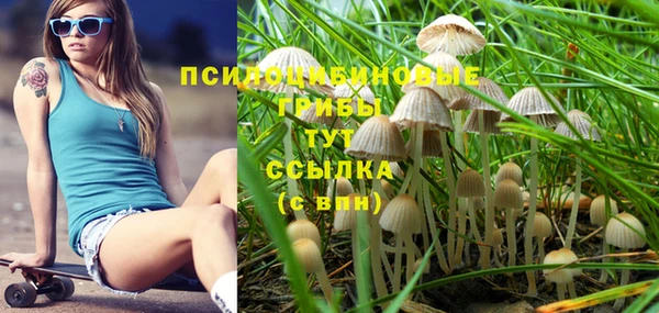 хмурый Абинск
