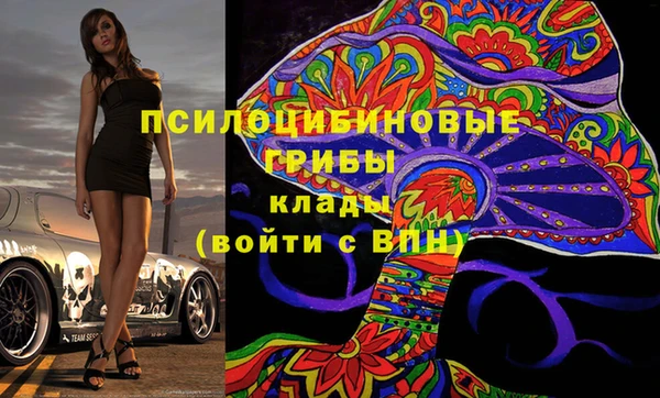 тгк Абаза